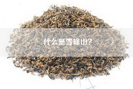 什么是雪峰山？