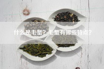 什么是毛蟹？毛蟹有哪些特点？