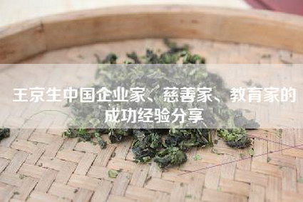 王京生中国企业家、慈善家、教育家的成功经验分享