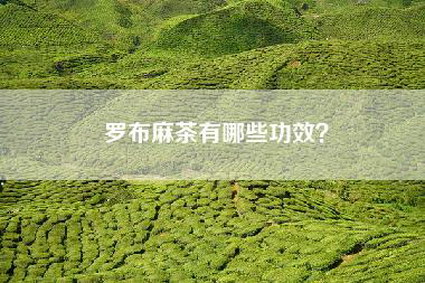 罗布麻茶有哪些功效？