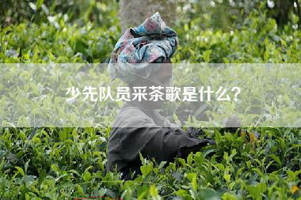 少先队员采茶歌是什么？