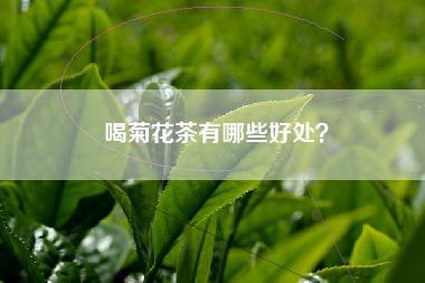 喝菊花茶有哪些好处？