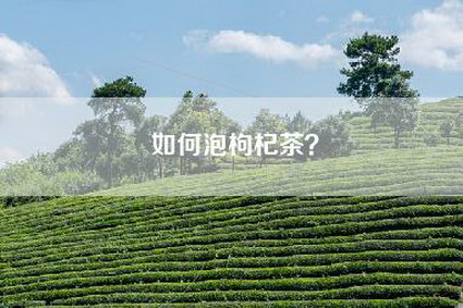 如何泡枸杞茶？