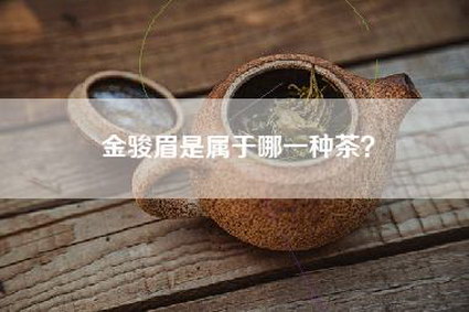 金骏眉是属于哪一种茶？