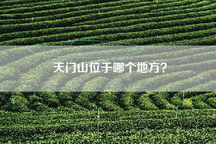 天门山位于哪个地方？