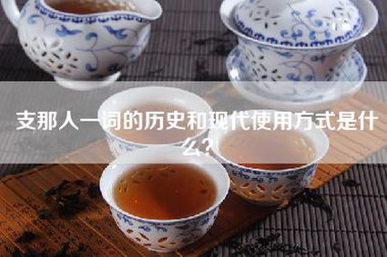 支那人一词的历史和现代使用方式是什么？