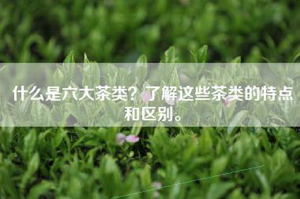 什么是六大茶类？了解这些茶类的特点和区别。