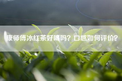 康师傅冰红茶好喝吗？口感如何评价？