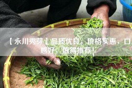 【永川秀芽】品质优良，价格实惠，口感好，值得推荐！