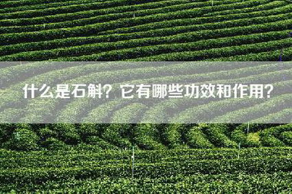 什么是石斛？它有哪些功效和作用？
