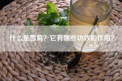 什么是雪菊？它有哪些功效和作用？