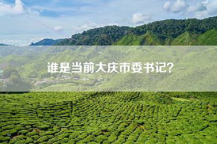 谁是当前大庆市委书记？