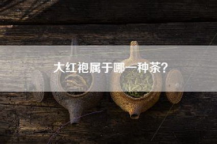 大红袍属于哪一种茶？