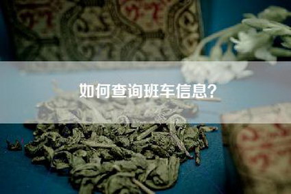 如何查询班车信息？