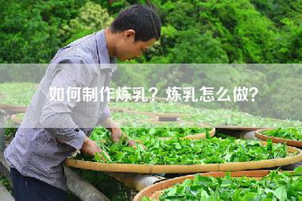 如何制作炼乳？炼乳怎么做？