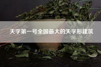 天字第一号全国最大的天字形建筑