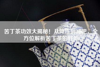 苦丁茶功效大揭秘！从降压到减肥，全方位解析苦丁茶的好处