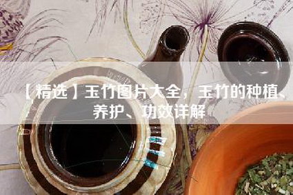 【精选】玉竹图片大全，玉竹的种植、养护、功效详解