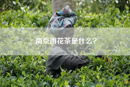 南京雨花茶是什么？