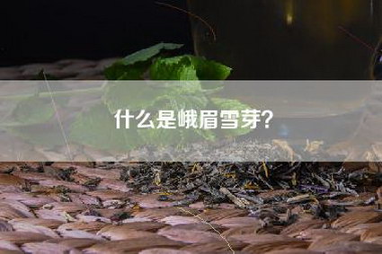 什么是峨眉雪芽？