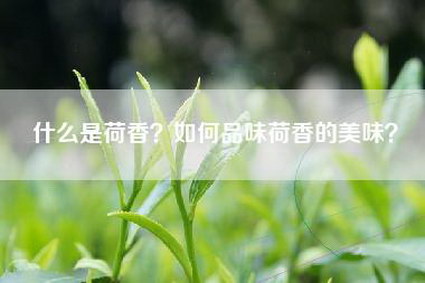 什么是荷香？如何品味荷香的美味？