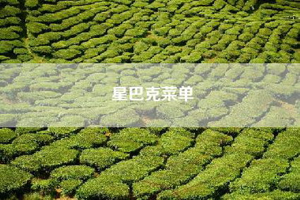 星巴克菜单