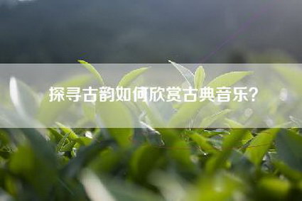 探寻古韵如何欣赏古典音乐？