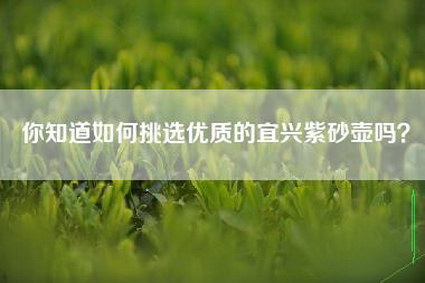 你知道如何挑选优质的宜兴紫砂壶吗？