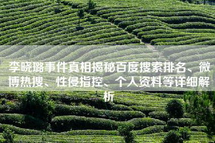 李晓璐事件真相揭秘百度搜索排名、微博热搜、性侵指控、个人资料等详细解析