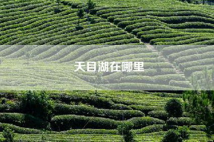 天目湖在哪里
