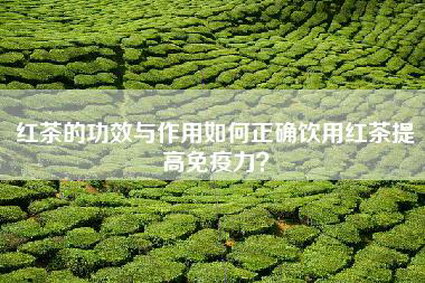 红茶的功效与作用如何正确饮用红茶提高免疫力？