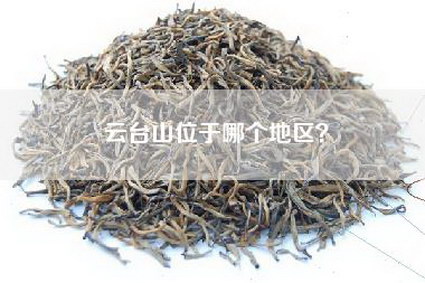 云台山位于哪个地区？