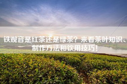 铁观音是红茶还是绿茶？来看茶叶知识、制作方法和饮用技巧！