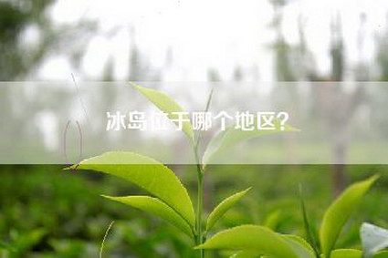 冰岛位于哪个地区？
