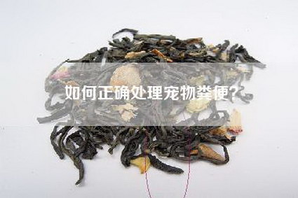 如何正确处理宠物粪便？