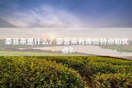 豪客来是什么？豪客来有哪些特点和优点？