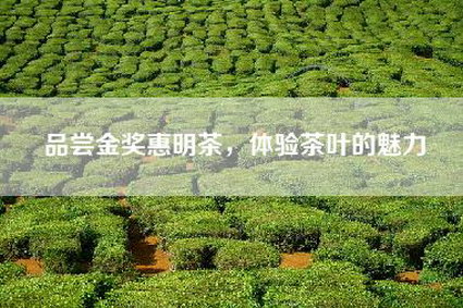 品尝金奖惠明茶，体验茶叶的魅力