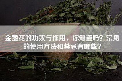 金盏花的功效与作用，你知道吗？常见的使用方法和禁忌有哪些？