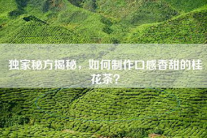 独家秘方揭秘，如何制作口感香甜的桂花茶？