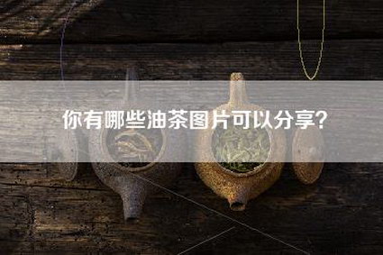 你有哪些油茶图片可以分享？