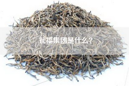 瓮福集团是什么？