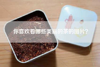 你喜欢看哪些美丽的茶的图片？