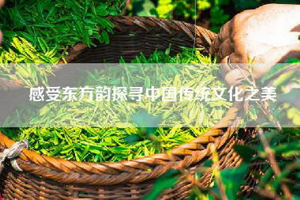 感受东方韵探寻中国传统文化之美
