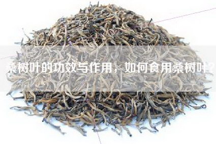 桑树叶的功效与作用，如何食用桑树叶？