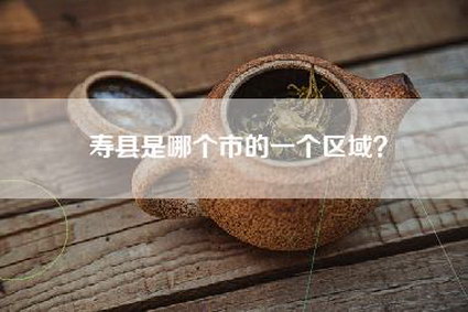 寿县是哪个市的一个区域？