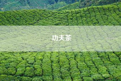 功夫茶