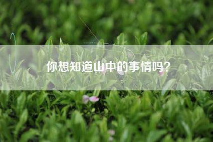 你想知道山中的事情吗？