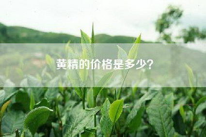 黄精的价格是多少？