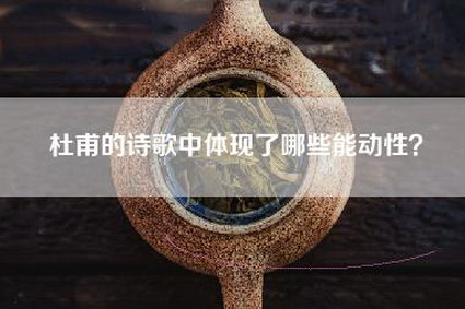 杜甫的诗歌中体现了哪些能动性？