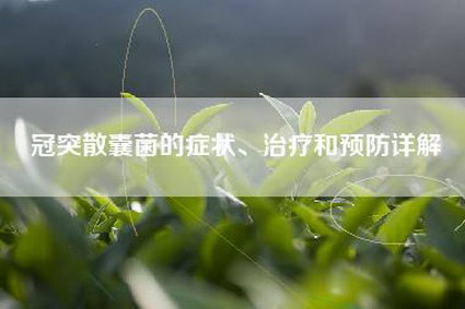 冠突散囊菌的症状、治疗和预防详解
